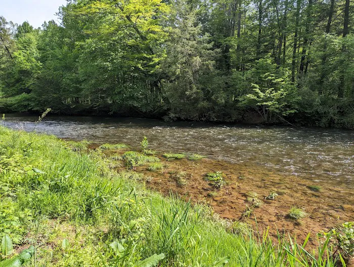 Oilmen's creekside RV sites Picture 6