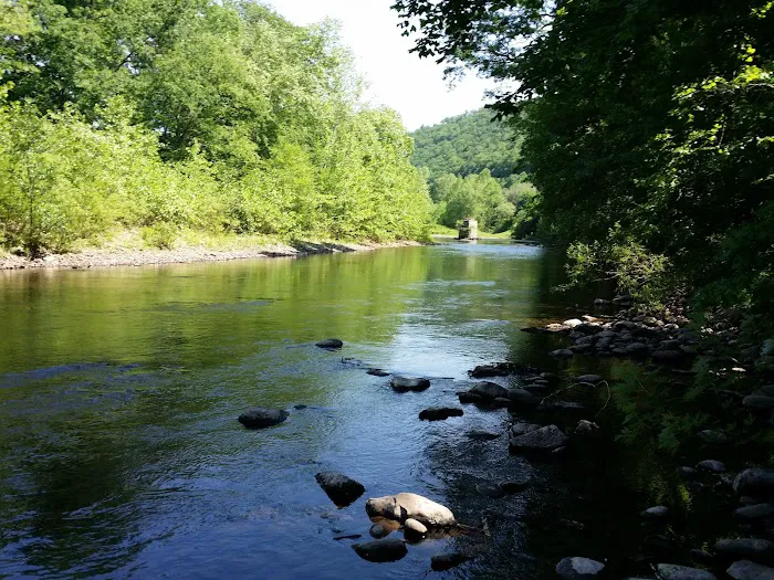 Haleeka Campground Picture 2