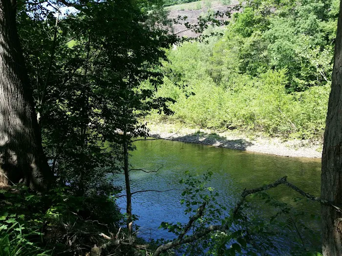 Haleeka Campground Picture 7