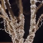 Yankee Green mobile Home Park