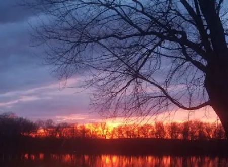 Stiely's Rivershore Campground