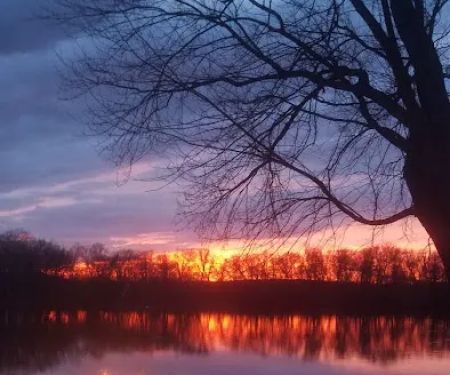 Stiely's Rivershore Campground