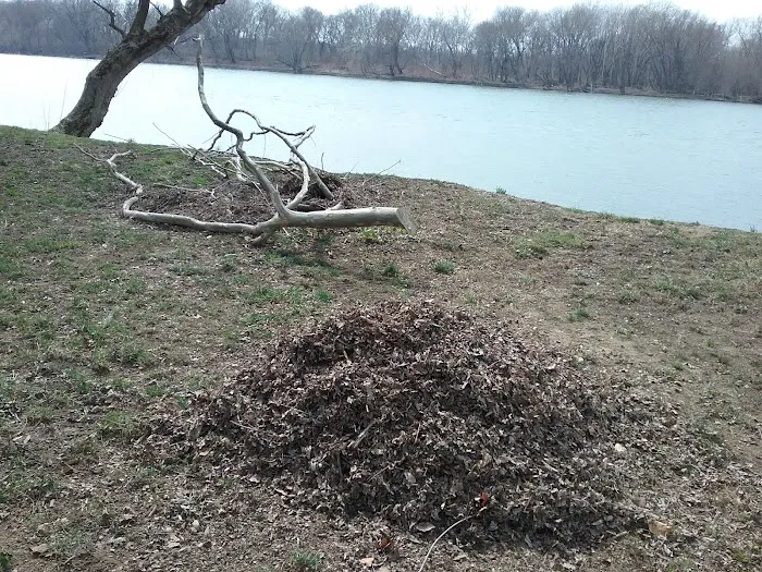 Stiely's Rivershore Campground Picture 3