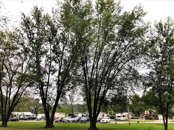 Penn Avon Campground Picture 5