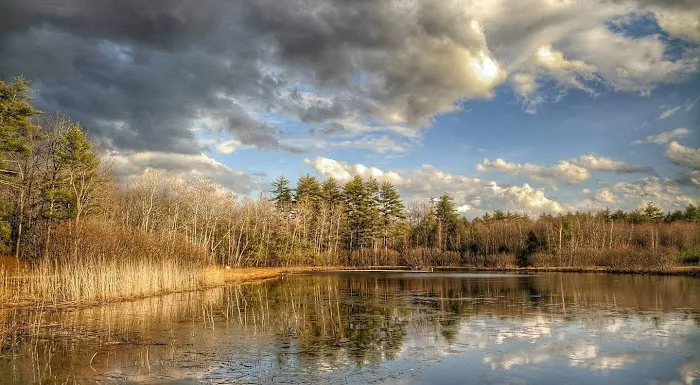 Amazon Park Picture 1