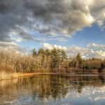 Amazon Park