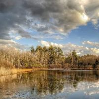 Amazon Park ico