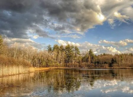 Amazon Park