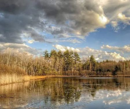 Amazon Park