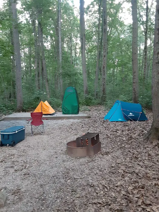 Codorus State Park Campground Picture 10