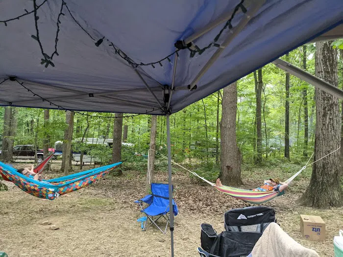 Codorus State Park Campground Picture 6