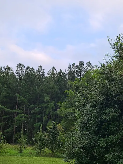 Camp Meade RV Park Picture 9