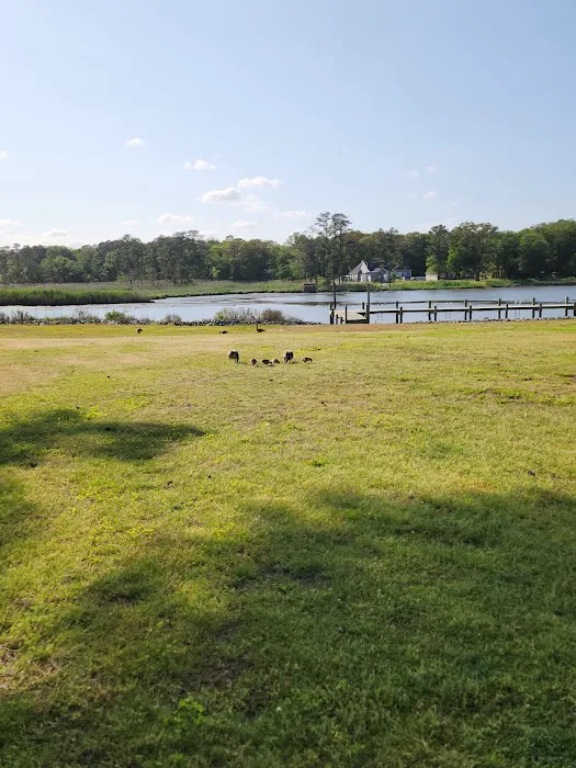Gulls Way Campground Picture 8