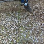 Duncannon Lions Club Campground