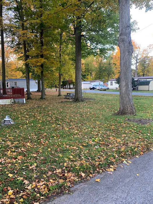 Black River Estates Picture 6
