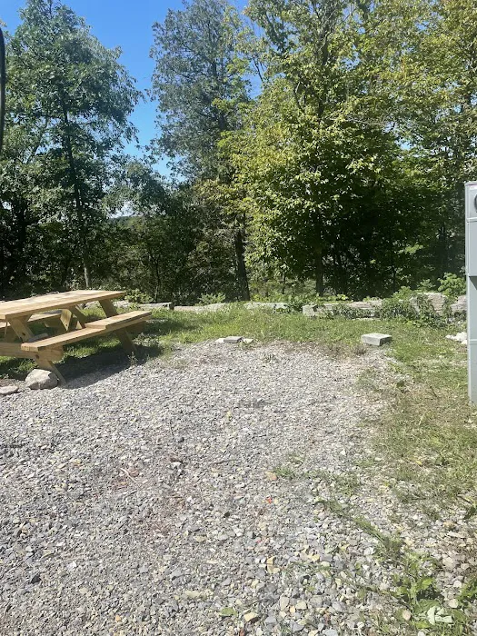 Chaumont River RV Park &Campground Picture 3