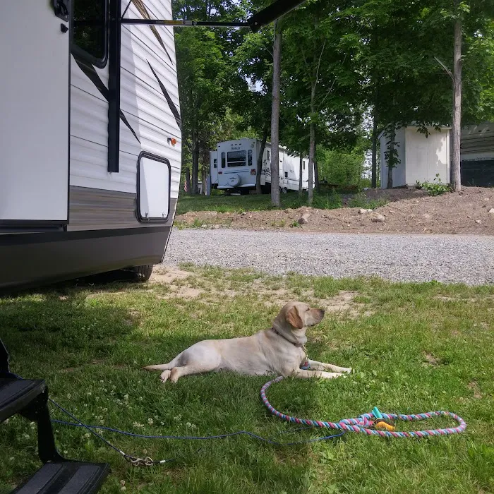 Chaumont River RV Park &Campground Picture 9