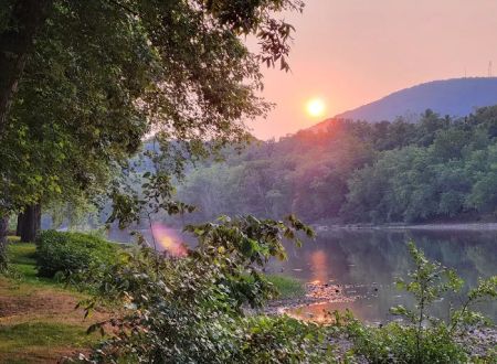 Scattered Sun