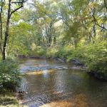 349 Pine Grove Rd