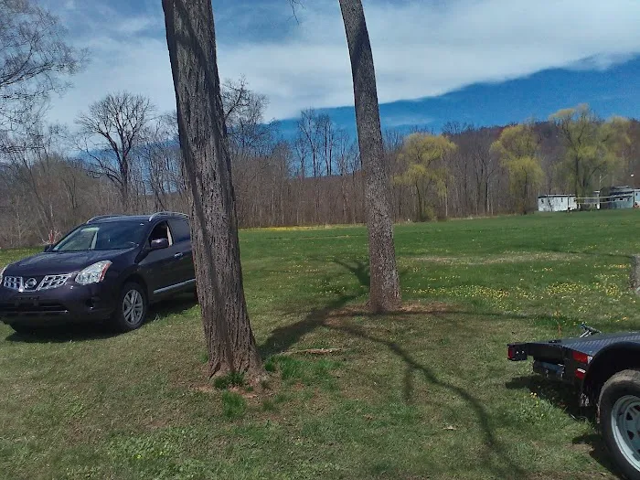 Lupfer's Grove & Campground Picture 6