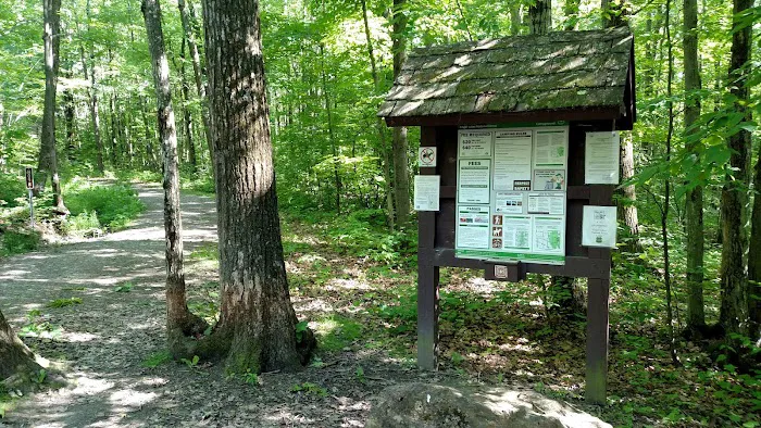 Potomac Group Campground Picture 10