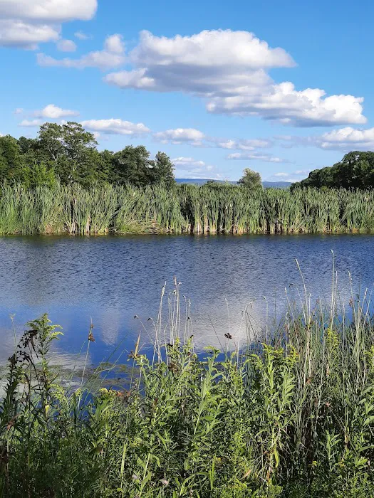 Potomac Group Campground Picture 7