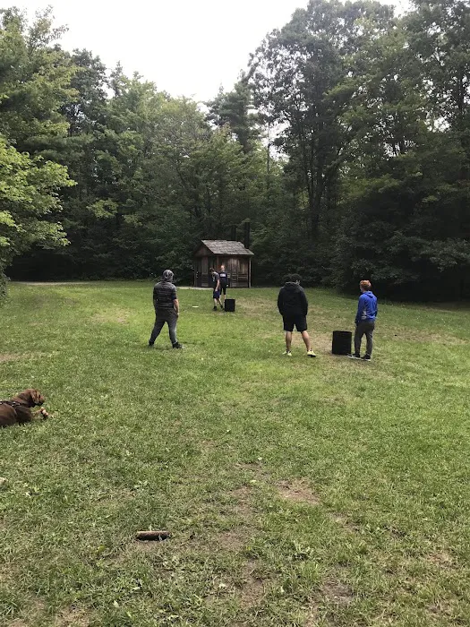 Potomac Group Campground Picture 6