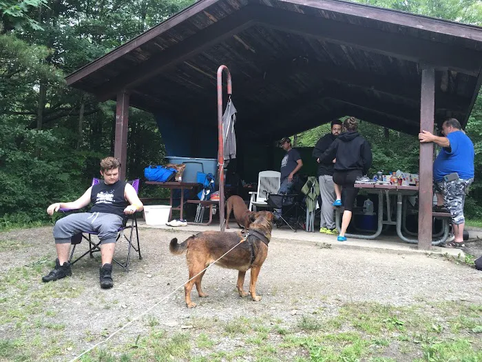 Potomac Group Campground Picture 4
