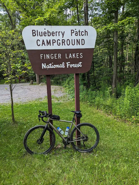 Blueberry Patch Campground Picture 4