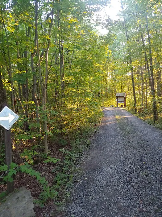 Blueberry Patch Campground Picture 3