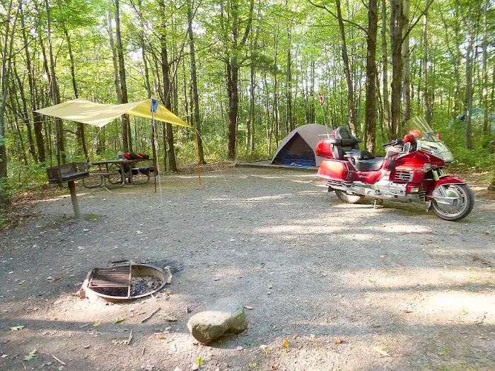 Blueberry Patch Campground Picture 9