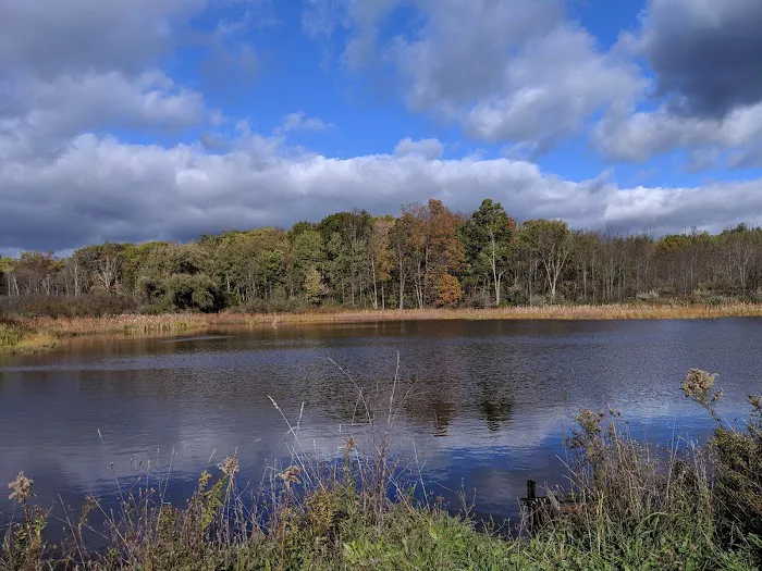 Foster pond camping area Picture 1