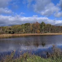 Foster pond camping area ico