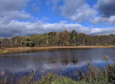 Foster pond camping area