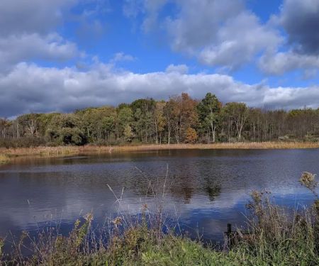 Foster pond camping area