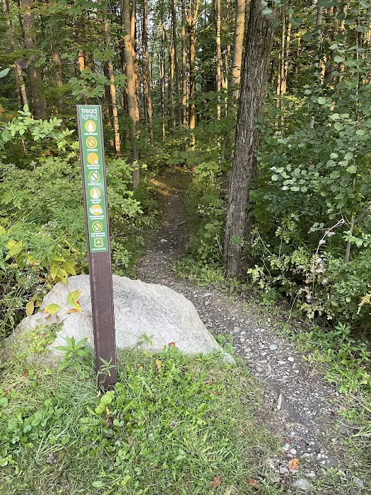 Foster pond camping area Picture 2