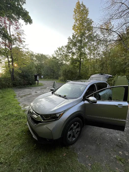 Foster pond camping area Picture 3