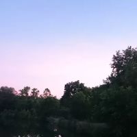 Gypsum Mills Estates ico