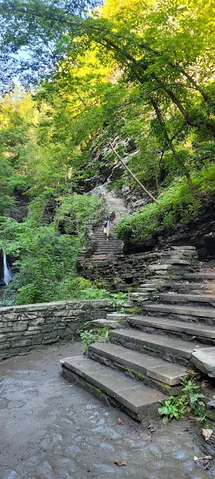 Watkins Glen State Park Six Nations Camping Area Picture 8