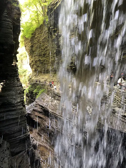 Watkins Glen State Park Six Nations Camping Area Picture 2