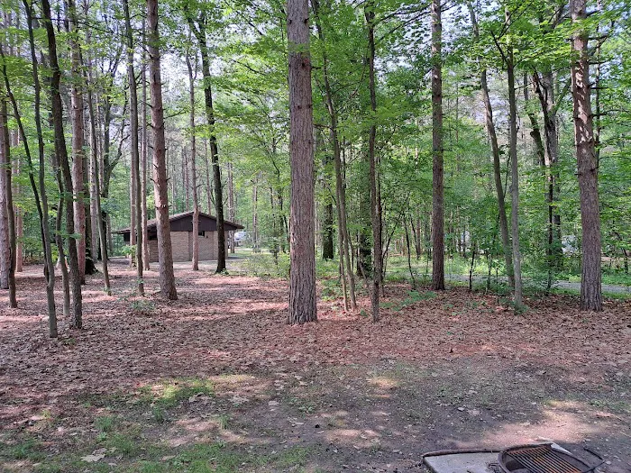 Watkins Glen State Park Six Nations Camping Area Picture 3