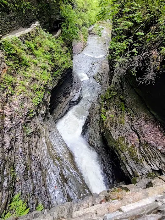 Watkins Glen State Park Six Nations Camping Area Picture 9