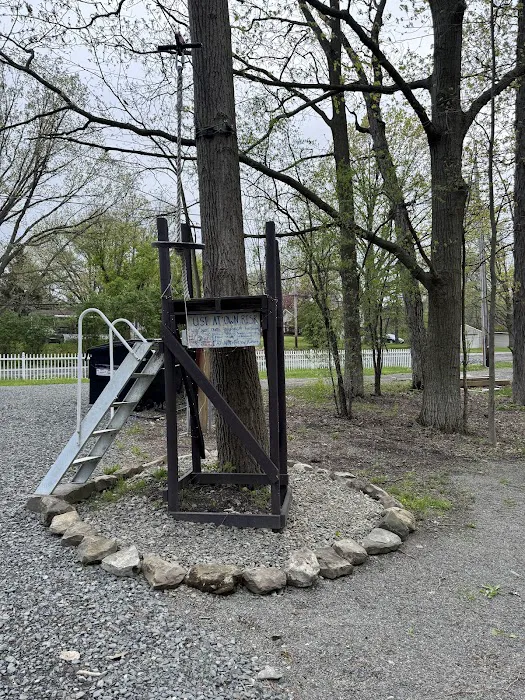 OFF THE BEATEN PATH OF WATKINS GLEN Campground Picture 6