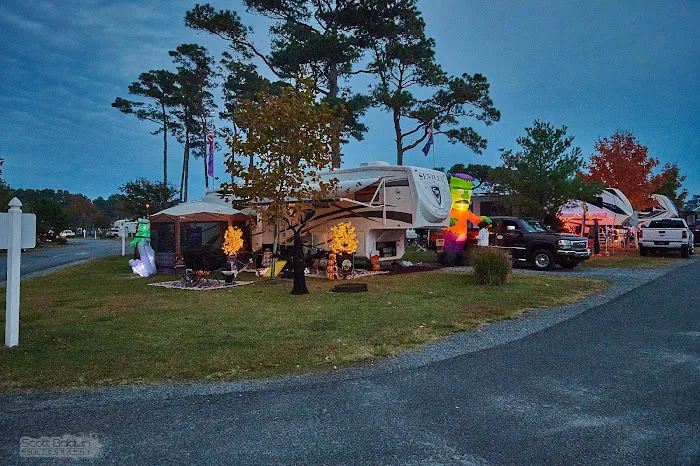 Castways RV Resort LLC Picture 7