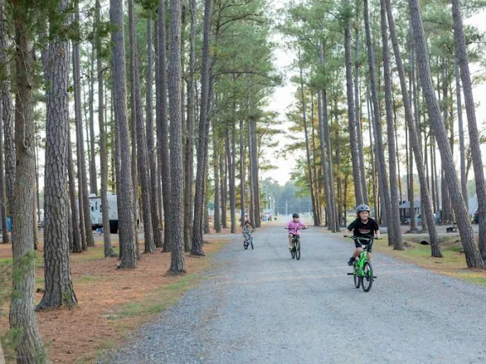 Tall Pines / Chesapeake Bay KOA Picture 10