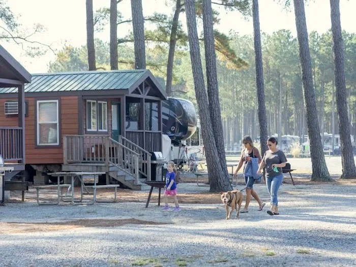 Tall Pines / Chesapeake Bay KOA Picture 4