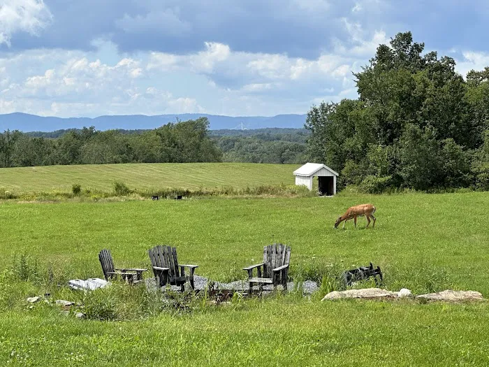 The Barn at Willow's Hollow Picture 9