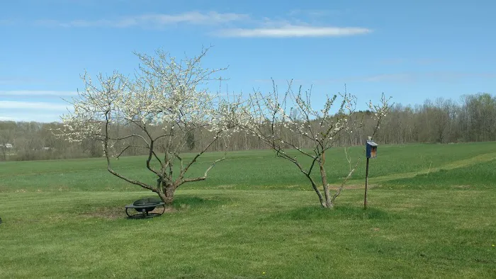 Noble Homestead & Camps Picture 2