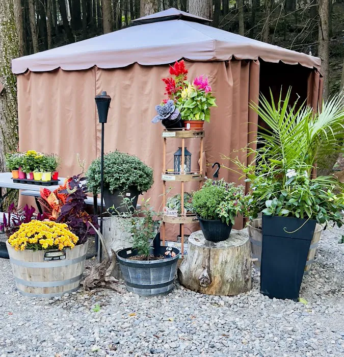 Mountain Air Campground Picture 5