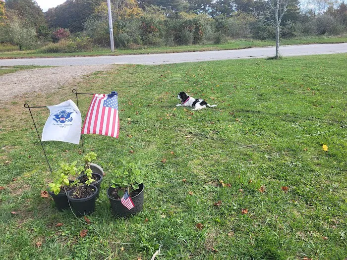 USCG Cape Cod MWR RV Park Picture 6